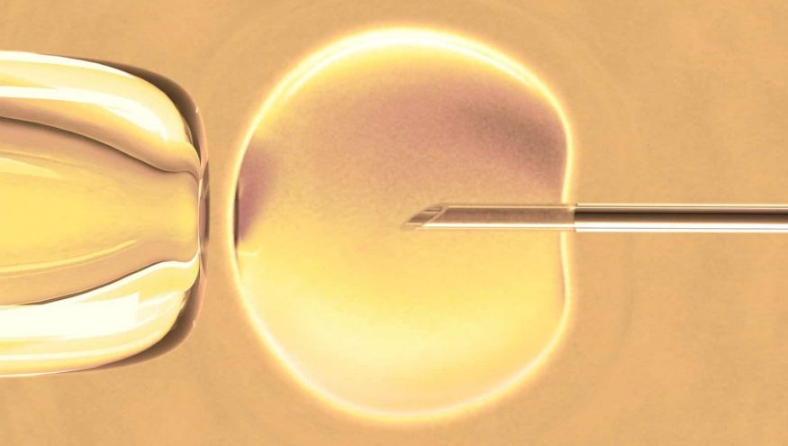 Embriyo Kalitesi Nasıl Belirlenir?