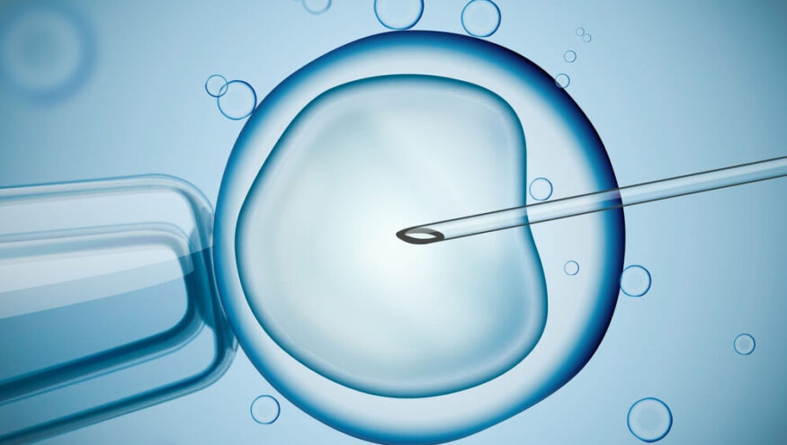 Tüp Bebek Tedavisinde Embriyo Transferi Öncesinde Nelere Dikkat Edilmeli?