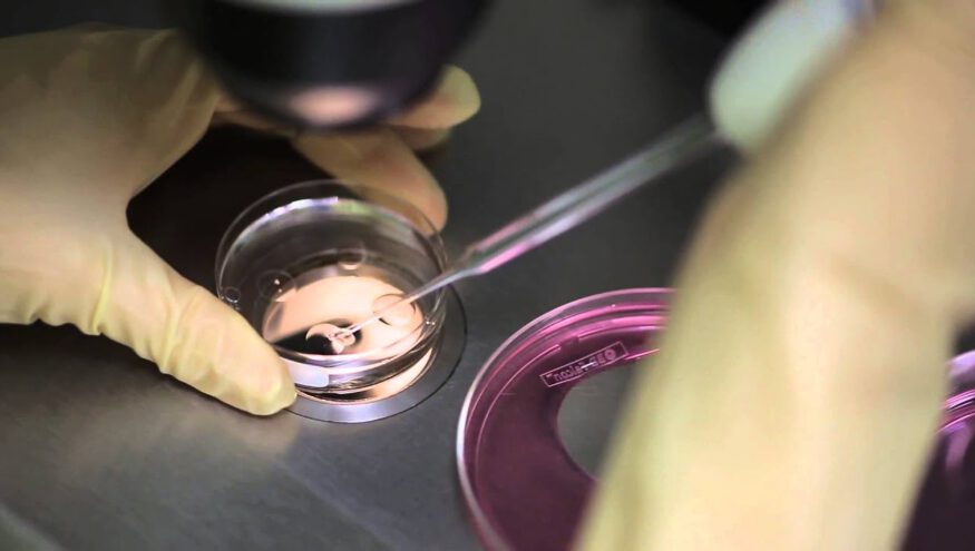 Embriyo Transferi Sonrası Tutunma Ne Zaman Olur?