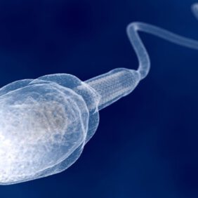 Sperm Sayısı Kaç Yaşından Sonra Azalır?