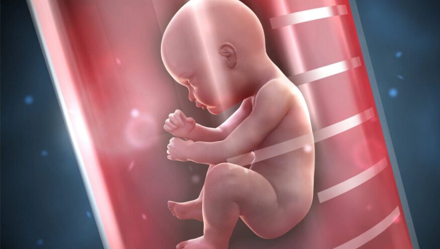 Tutunamayan Embriyo Vücuttan Nasıl Atılır?